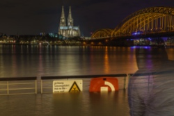 Köln Hochwasser Februar 2016