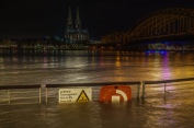 Köln Hochwasser Februar 2016
